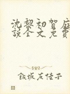 沈黎初贺庭安小说全文免费阅读