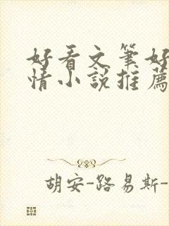 好看文笔好的言情小说推荐封面