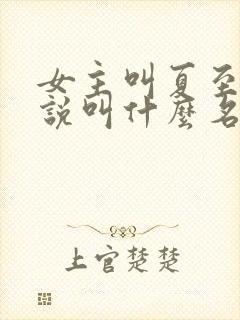 女主叫夏至的小说叫什么名字封面