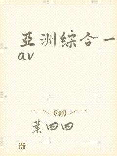 亚洲综合一区二av