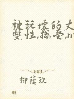 被玩坏的丈夫(双性,总受,ntr)封面