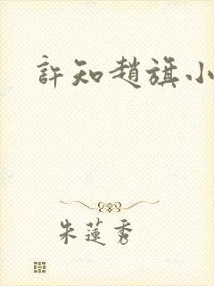 许知赵旗小说封面