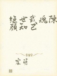 绝世武魂陈枫红颜知己