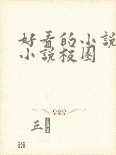 好看的小说言情小说校园