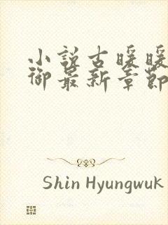 小说古暖暖江尘御最新章节