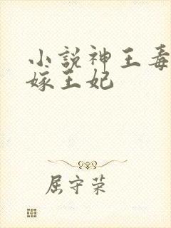 小说神王毒宠二嫁王妃