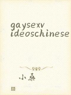 gaysexvideoschinese封面