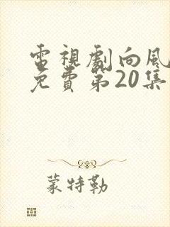 电视剧向风而行免费第20集播放封面