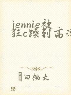jennie被狂c躁到高潮小说
