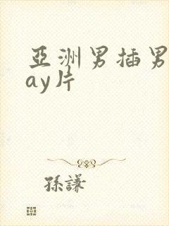 亚洲男插男同gay片