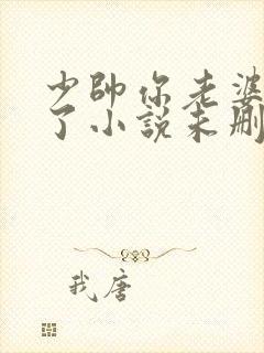 少帅你老婆又跑了小说未删减版