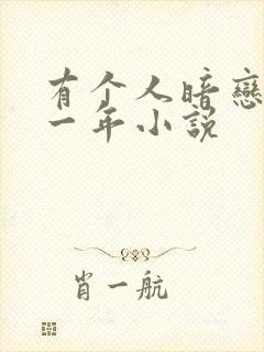 有个人暗恋我十一年小说