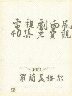 电视剧向风而行40集免费观看