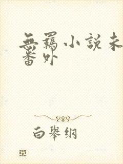 无羁小说未删减番外