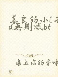 善良的小[子hd无删减bt