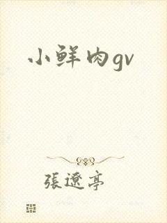 小鲜肉gv