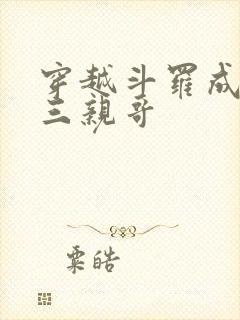 穿越斗罗成为唐三亲哥