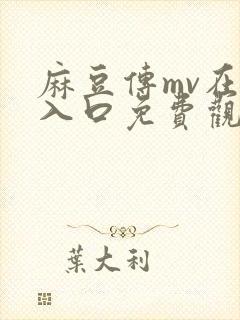 麻豆传mv在线入口免费观看电视剧