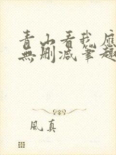 青山看我应如是无删减笔趣阁