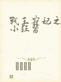 战王宠妃之倾世小狂医