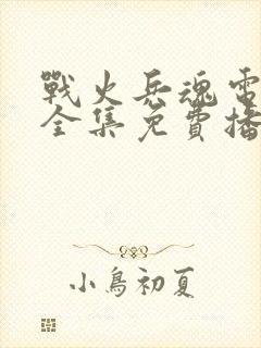 战火兵魂电视剧全集免费播放