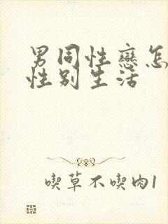 男同性恋怎么过性别生活