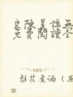 良陈美锦无弹窗免费阅读全文