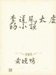 李道风太虚老道的小说