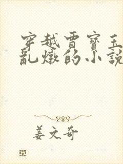 穿越贾宝玉贾母乱炖的小说