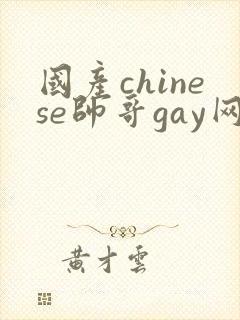 国产chinese帅哥gay网站
