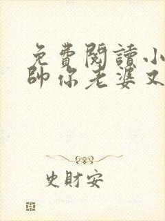 免费阅读小说少帅你老婆又跑了全文