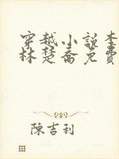 穿越小说李向南林楚乔免费阅读