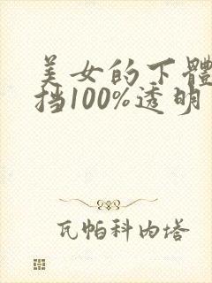 美女的下体无遮挡100%透明