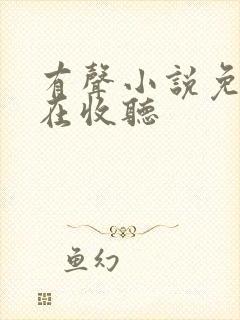 有声小说免费现在收听