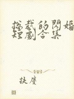 总裁的闪婚甜妻短剧合集