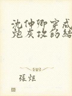 沈仲卿穿成反派炮灰攻的结局