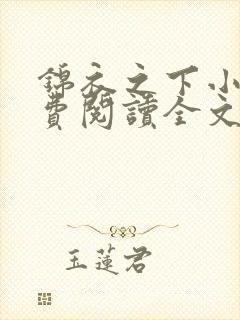 锦衣之下小说免费阅读全文无删减