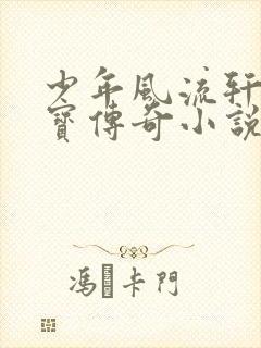 少年风流轩辕大宝传奇小说封面