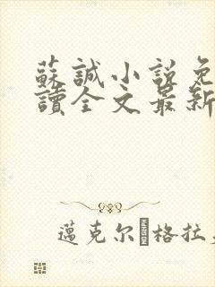 苏诚小说免费阅读全文最新章节