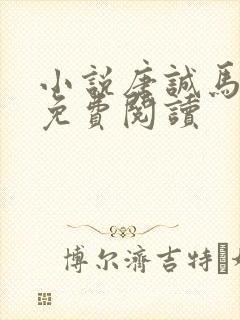 小说唐诚马玉婷免费阅读