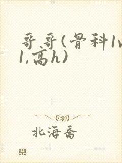 哥哥(骨科1v1,高h)