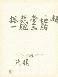 总裁爹地超给力一胞三胎封面