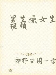 男生操女生逼逼视频