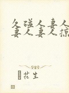 久碰人妻人妻人妻人妻人掠