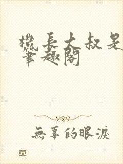 机长大叔是饿狼笔趣阁封面