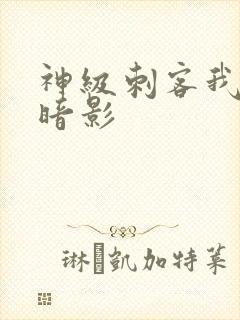 神级刺客我即是暗影