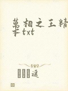 万相之王精校全本txt