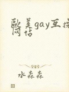欧美gay互操网站