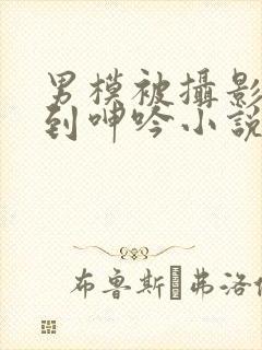 男模被摄影师摸到呻吟小说