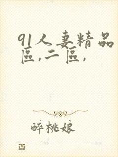 91人妻精品一区,二区,封面